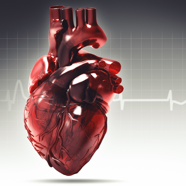 Szívhez szóló bón hosszú életűeknek! Alapos kardiológiai kivizsgálás: szívultrahang + EKG + általános belgyógyászati és kardiológiai vizsgálatok = 30.000 Ft helyett 14.900 Ft!