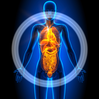 Vissza a jövőbe: Teljes testes 3D-s ESG vizsgálat (agy, tüdő, máj, csontrendszer,...) + Orvosi konzultáció + tanulmány…