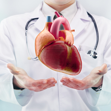 Vedd a szívedre: Bázis kardiológiai kivizsgálás csomag FŐORVOStól- Általános kardiológiai vizsgálatok + EKG + Szívultrahang, ​a Corvin Medical Orvosi Központban