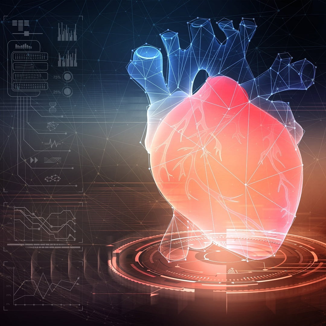 Kardiológiai vizsgálat szív-ultrahanggal, a MyDoctor Egészségközpont kardiológiai diagnosztika, és rehabilitáció specialistáival 