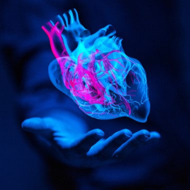 Bázis kardiológiai kivizsgálás csomag FŐORVOSsal- Általános kardiológiai vizsgálatok + EKG + Szívultrahang (ECHO), ​a Corvin Medical Orvosi Központban