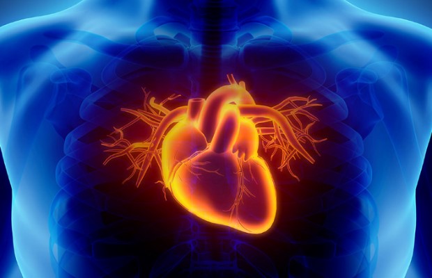 egészségügyi cikkek a szívrohamokról