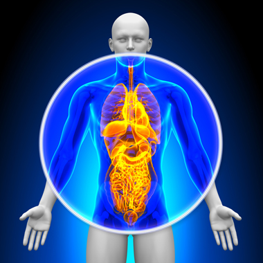 A jövő módszerével az egészségért: <br />
A teljes test 3D-s ESG vizsgálata (szív, vese, emésztő-, endokrin-, csontrendszer, léguti funkciók, ...) + Orvosi konzultáció, tanulmány