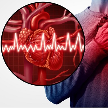 Életed ritmusa összhangban van az EGÉSZségeddel? Kardiológiai vizsgálat szív-ultrahanggal, a MyDoctor Egészségközpont kardiológiai diagnosztika, és rehabilitáció specialistáival 